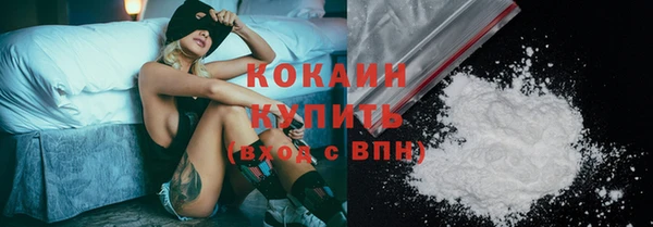 соль ск Богданович