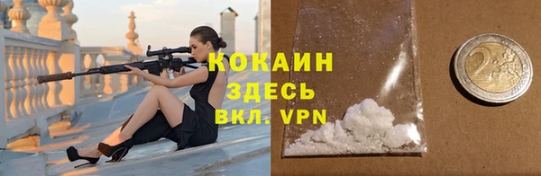 соль ск Богданович