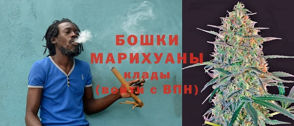 соль ск Богданович