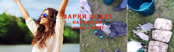 соль ск Богданович