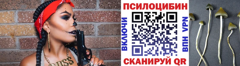 цены наркотик  Верхотурье  Псилоцибиновые грибы мицелий 